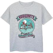 T-shirt enfant Harry Potter Hogwarts Sphere