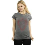 T-shirt Harry Potter Gryffindor