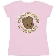 T-shirt Marvel I Am Groot Cutest Guardian