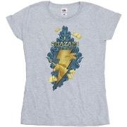 T-shirt Dc Comics Fury Of The Gods