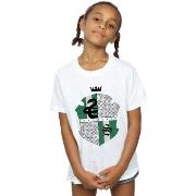 T-shirt enfant Harry Potter BI21256