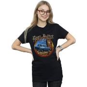 T-shirt Harry Potter BI27300