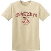 T-shirt Harry Potter BI27434