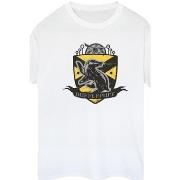 T-shirt Harry Potter Hufflepuff