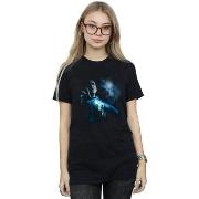 T-shirt Harry Potter BI26352