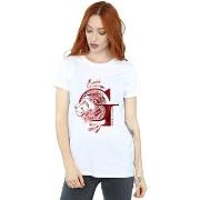 T-shirt Harry Potter Gryffindor Lion