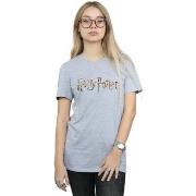 T-shirt Harry Potter BI27041