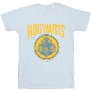 T-shirt Harry Potter BI27595