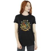 T-shirt Harry Potter BI27937