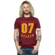 T-shirt Harry Potter BI29047