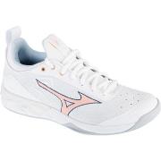 Chaussures Mizuno Wave Luminous 2