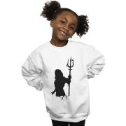 Sweat-shirt enfant Dc Comics BI6533