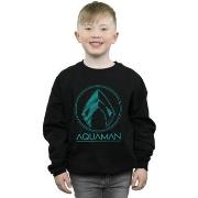 Sweat-shirt enfant Dc Comics BI5981