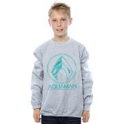 Sweat-shirt enfant Dc Comics BI5981