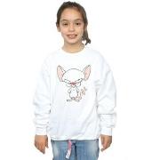 Sweat-shirt enfant Animaniacs BI5945