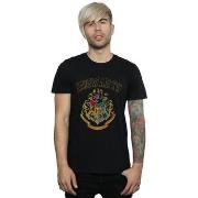 T-shirt Harry Potter BI30117