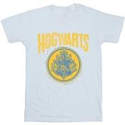 T-shirt Harry Potter BI30564