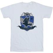 T-shirt Harry Potter Ravenclaw