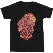 T-shirt Harry Potter BI31024