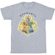 T-shirt Harry Potter BI31174