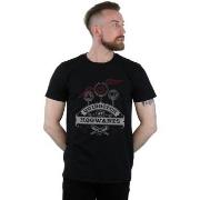 T-shirt Harry Potter BI29119