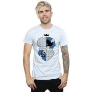 T-shirt Harry Potter BI29898