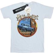 T-shirt Harry Potter BI30239