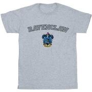 T-shirt Harry Potter BI30439