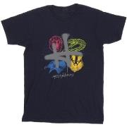 T-shirt Harry Potter Emblems H Spray