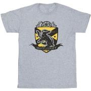 T-shirt Harry Potter Hufflepuff