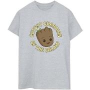 T-shirt Marvel I Am Groot Cutest Guardian