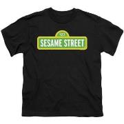 T-shirt enfant Sesame Street TV2964