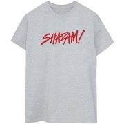 T-shirt Dc Comics Shazam Fury Of The Gods Spray Paint Logo