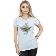 T-shirt Dc Comics Wonder Woman Butterfly Logo