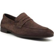 Chaussures Frau Daino Mocassino Uomo Testa di Moro 34B5129