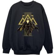 Sweat-shirt enfant Dc Comics Black Adam Rising Golden Symbols