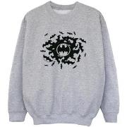 Sweat-shirt enfant Dc Comics BI8022