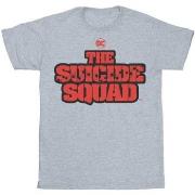 T-shirt Dc Comics The Suicide Squad