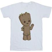 T-shirt Marvel I Am Groot