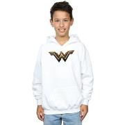 Sweat-shirt enfant Dc Comics Justice League