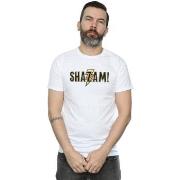 T-shirt Dc Comics Shazam Text Logo