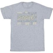 T-shirt Dc Comics Shazam Fury Of The Gods We Are The Power