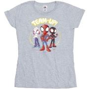 T-shirt Marvel Spidey And His Amazing Friends