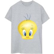 T-shirt Dessins Animés BI33173