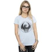 T-shirt Fantastic Beasts Magical Congress