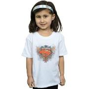 T-shirt enfant Dc Comics BI47993