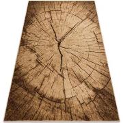 Tapis Rugsx Tapis SILVER TRONKO Arbre Bois noix 240x340 cm