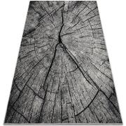 Tapis Rugsx Tapis SILVER TRONKO Arbre Bois - gris 200x300 cm