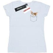 T-shirt Gremlins Gizmo Faux Pocket
