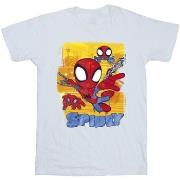 T-shirt Marvel Spidey And His Amazing Friends